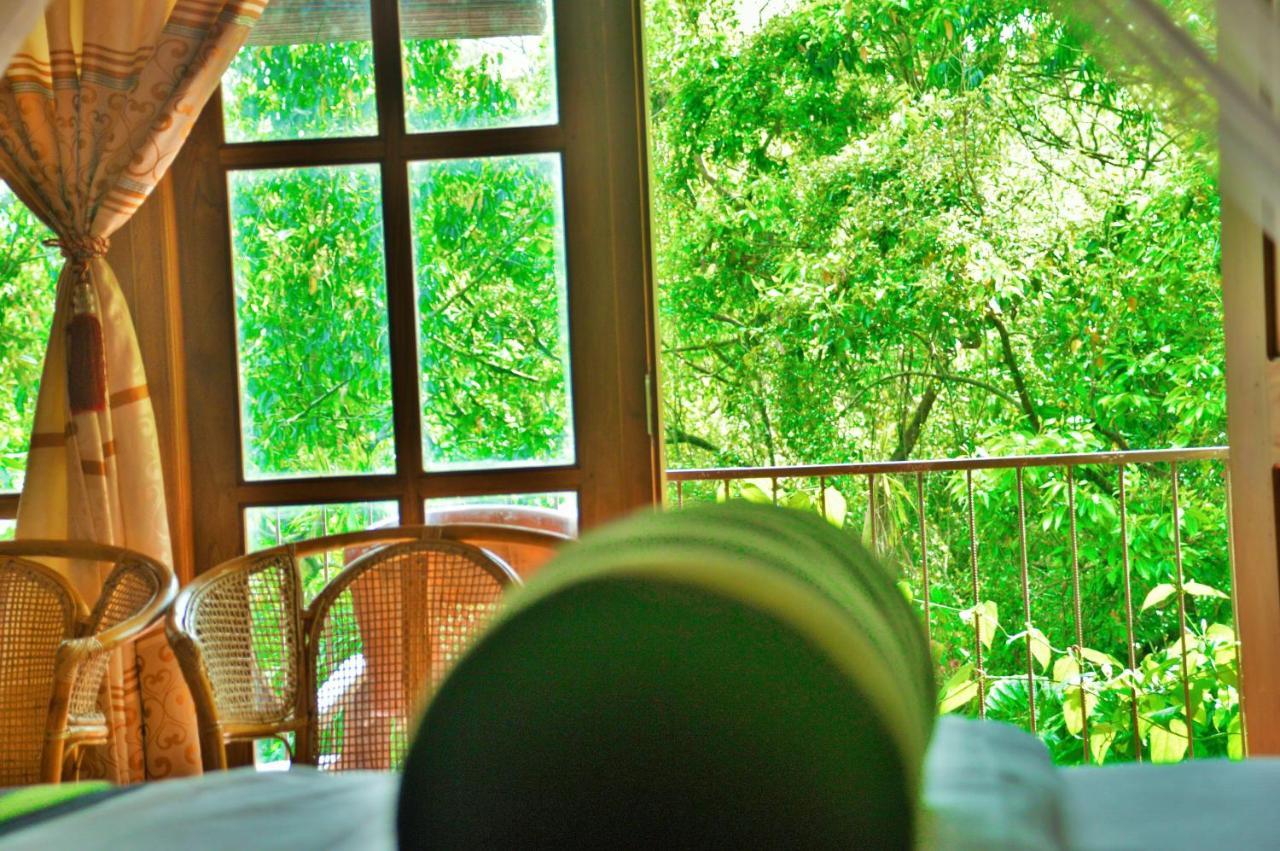 Green Cottage Ella Extérieur photo