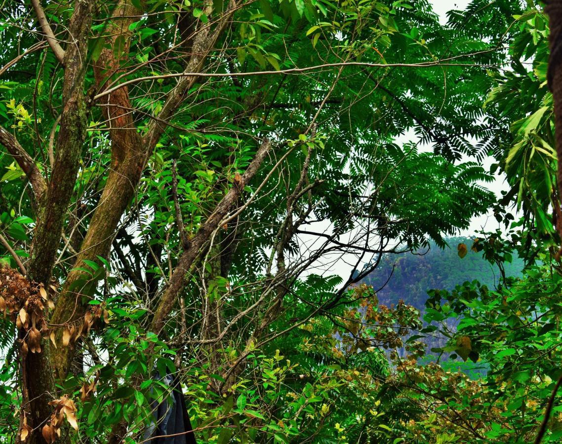 Green Cottage Ella Extérieur photo