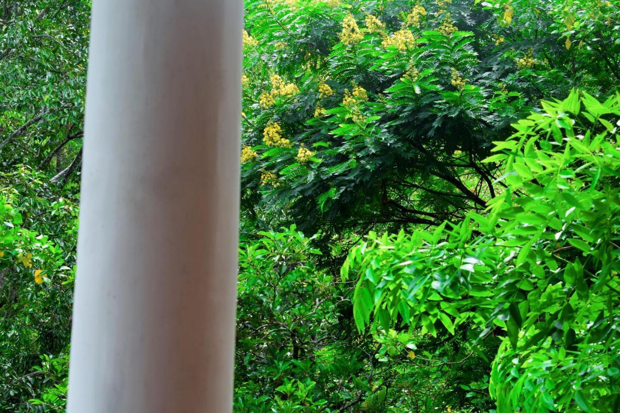 Green Cottage Ella Extérieur photo